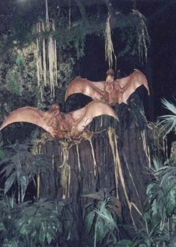 Cearadactylus