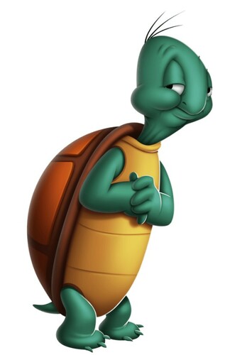 Cecil Turtle
