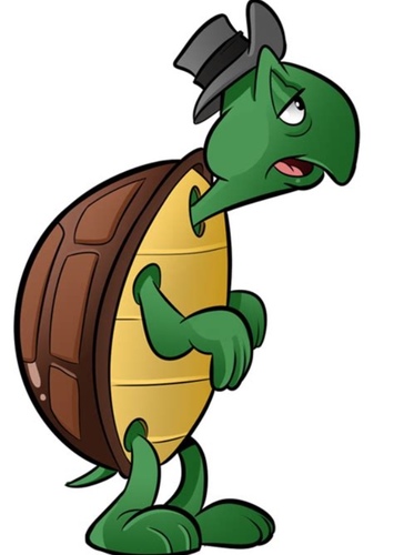 Cecil Turtle