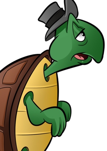 Cecil Turtle
