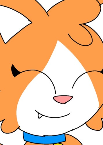 Cecy the Kitten
