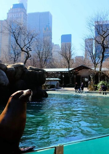 Central Park Zoo