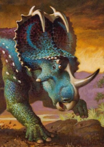 Centrosaurus/Monoclonius