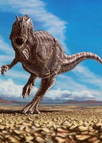 Ceratosaurus