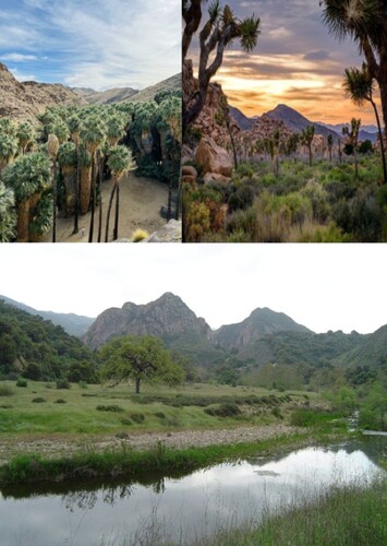 Cerro del Pueblo Formation