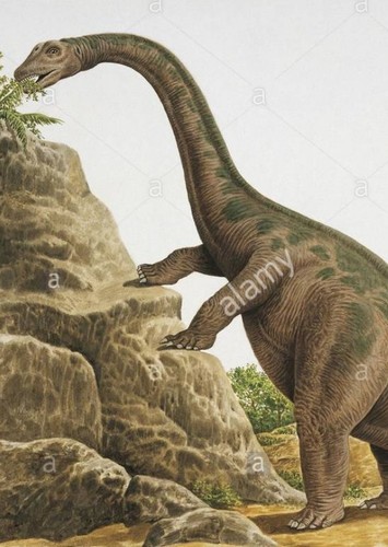 Cetiosauriscus