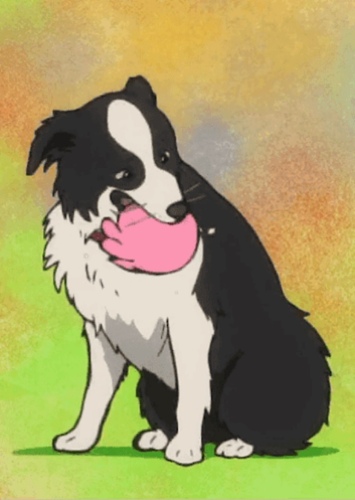 Chappy (Voice)