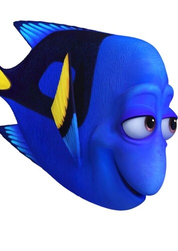 Charlie the Blue Tang Fish
