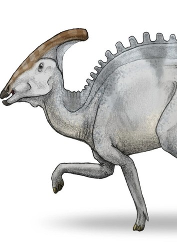 Charonosaurus