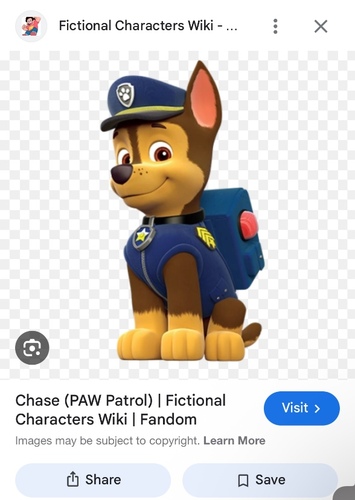 Chase