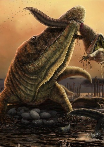 Chasmatosuchus