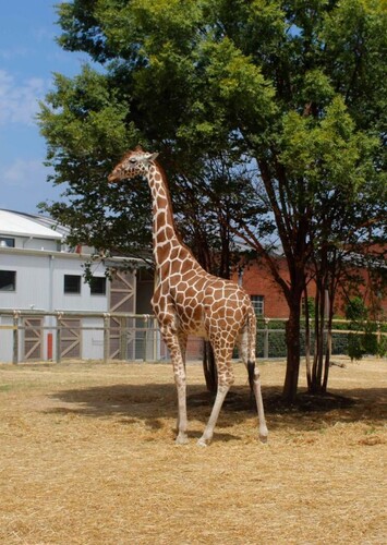 Chattanooga Zoo