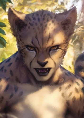 Cheetah