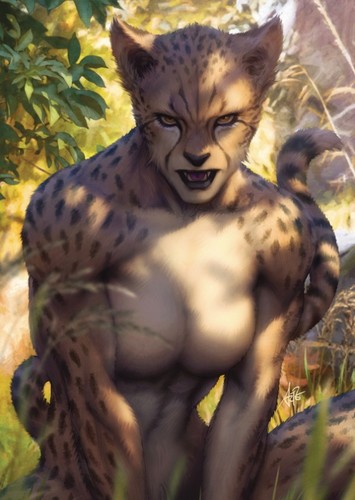 Cheetah