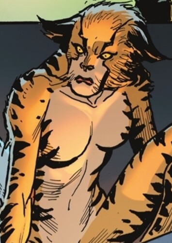 Cheetah