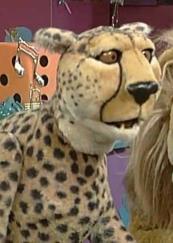 Cheetah
