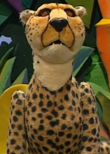 Cheetah