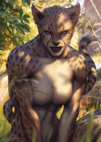 Cheetah