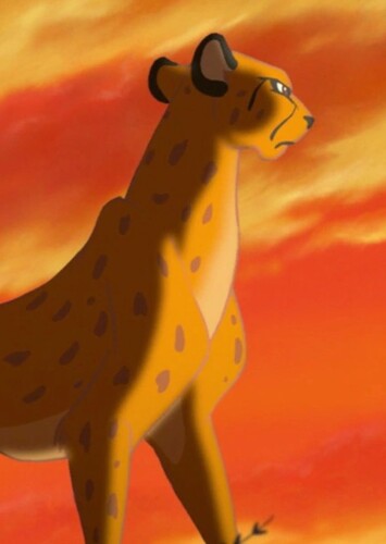 Cheetahs