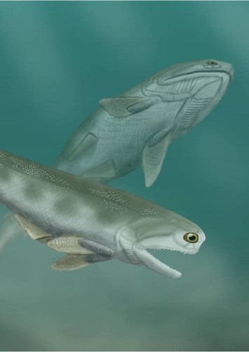 Cheirolepis