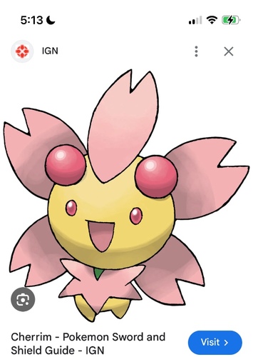 Cheriub