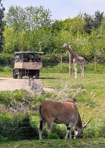 Chessington World of Adventures