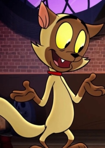 Chester the Cat