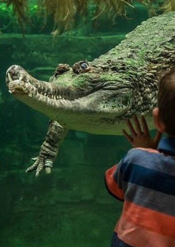 Chester Zoo