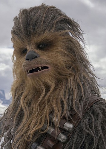 Chewbacca