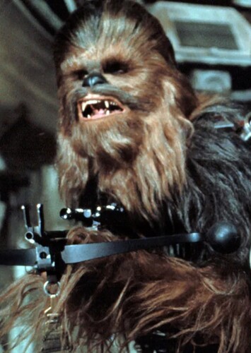 Chewbacca