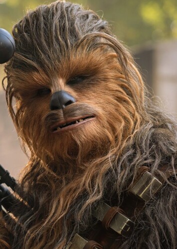 Chewbacca