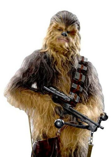 Chewbacca