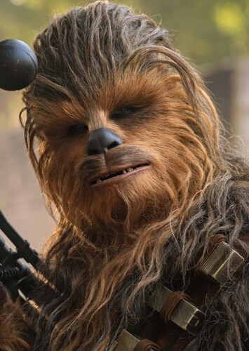 Chewbacca