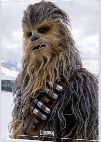 Chewbacca