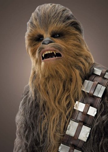 Chewbacca.