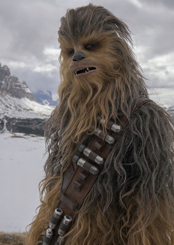 Chewbacca