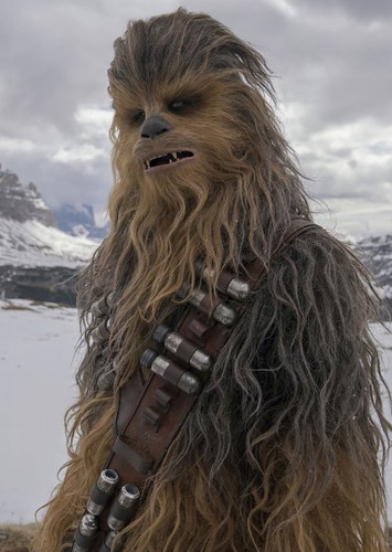Chewbacca