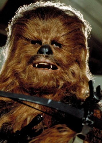 Chewbacca
