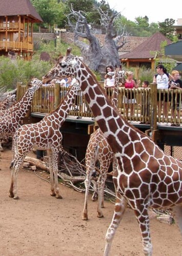 Cheyenne Mountain Zoo