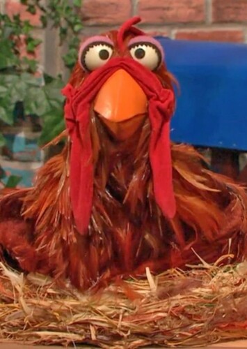 Chicken