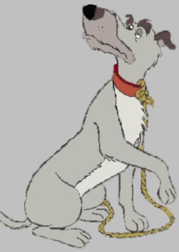 Chief