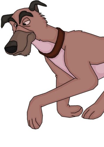 Chief The Dog