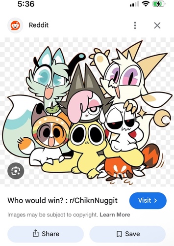 Chikn nuggit