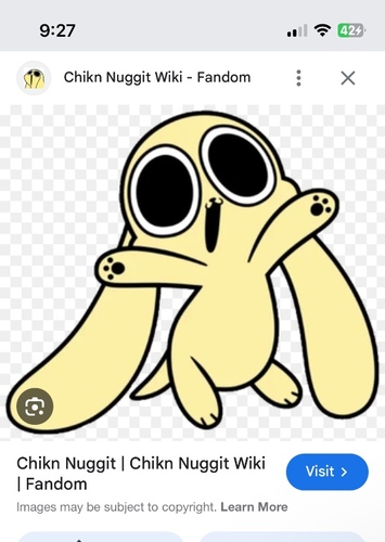 Chikn nuggit
