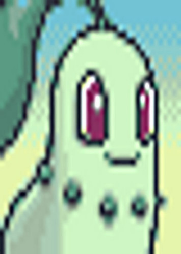 Chikorita