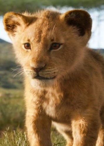Mufasa Cub