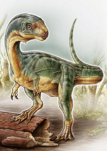 Chilesaurus