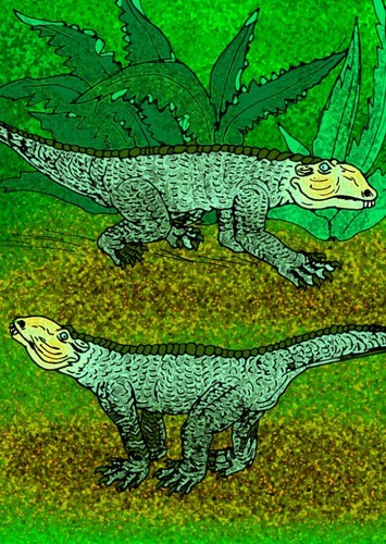 Chimaerasuchus