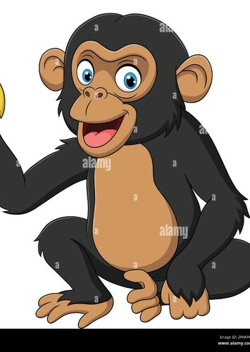 Chimpanzee