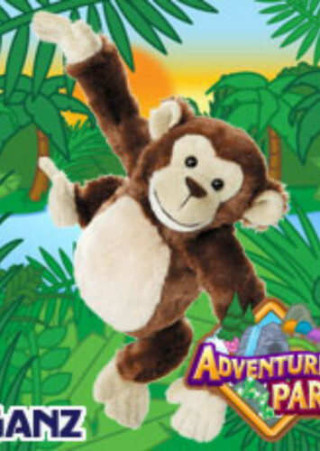 Chimpanzee